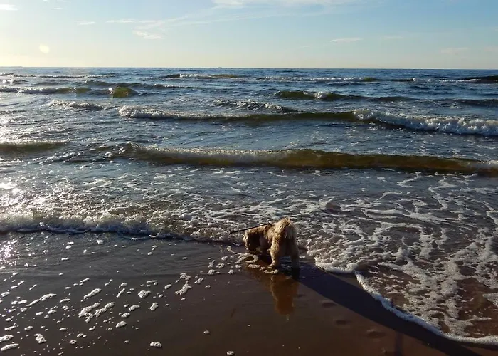 Magdalena * 슈비노우이스쳬